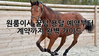 원룸이사 꿀팁🍯 용달 예약부터 계약까지 완벽 가이드!