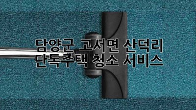 담양군 고서면 산덕리 단독주택 청소 서비스