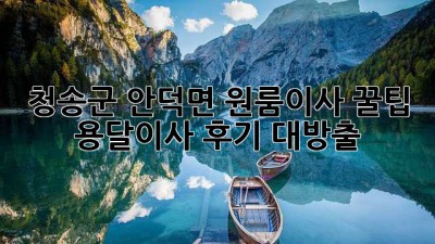 청송군 안덕면 원룸이사 꿀팁🍯 용달이사 후기 대방출!