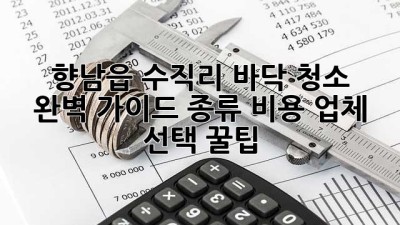 향남읍 수직리 바닥 청소 ✨ 완벽 가이드: 종류, 비용, 업체 선택 꿀팁!